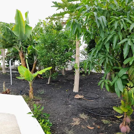 Pure Life Bungalow * Mogan