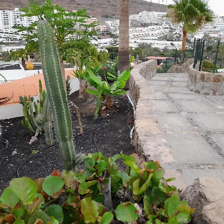 Pure Life Bungalow Mogán